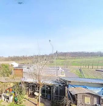 Foto annuncio 26