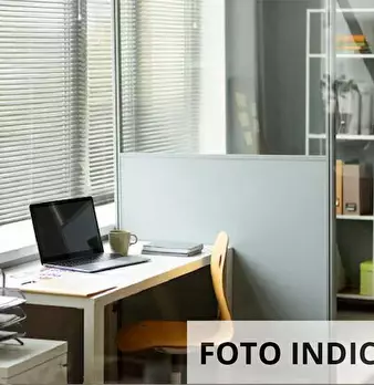 Foto annuncio 13