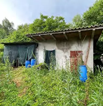 Foto annuncio 17