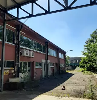 Foto annuncio 12