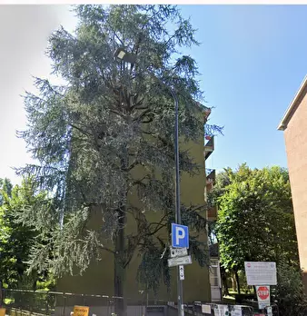 Foto annuncio 5