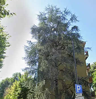Foto annuncio 11