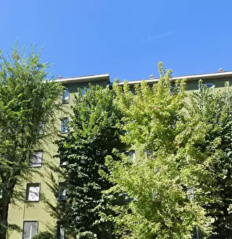 Foto annuncio 17