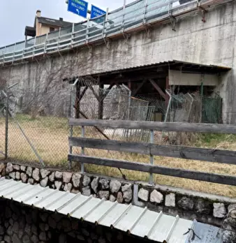 Foto annuncio 6