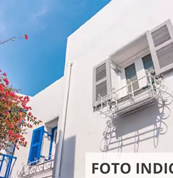 Foto annuncio 11