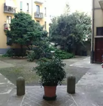 Foto annuncio 31