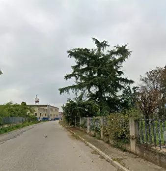 Foto annuncio 7