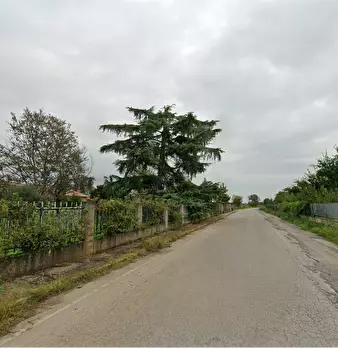 Foto annuncio 20