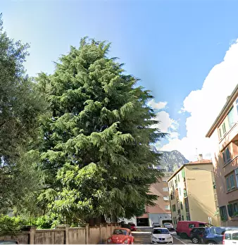 Foto annuncio 15