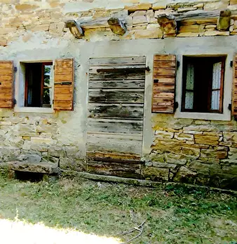 Foto annuncio 12