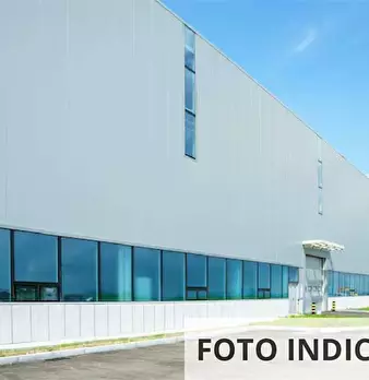 Foto annuncio 12
