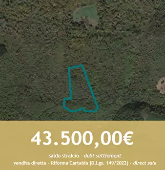 Foto annuncio 1