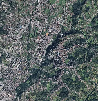Foto annuncio 7