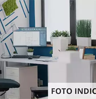 Foto annuncio 16