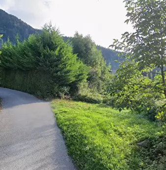 Foto annuncio 2