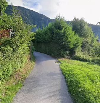 Foto annuncio 5