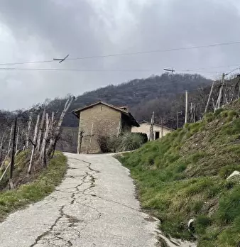 Foto annuncio 3
