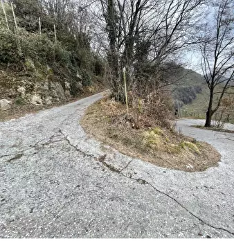 Foto annuncio 4