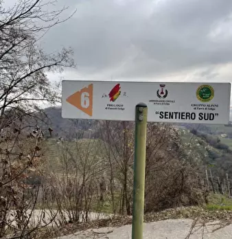 Foto annuncio 5