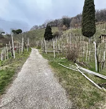 Foto annuncio 9