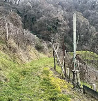 Foto annuncio 13