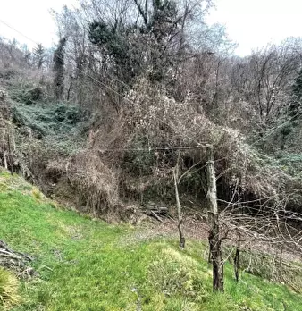 Foto annuncio 18