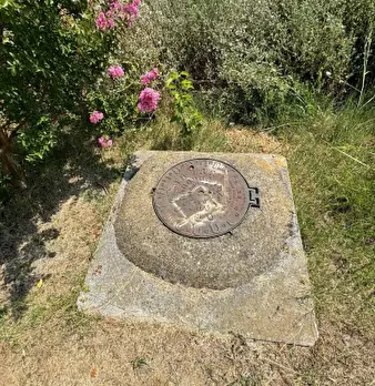 Foto annuncio 2