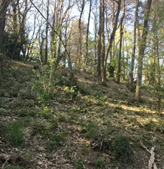 Foto annuncio 2