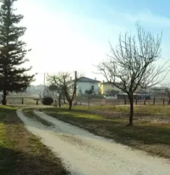Foto annuncio 5
