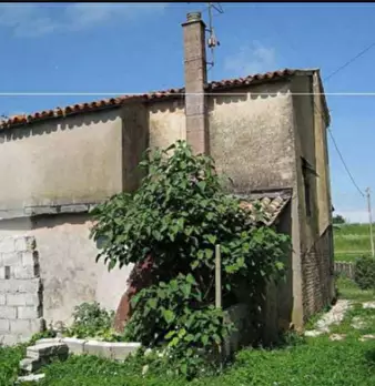 Foto annuncio 4