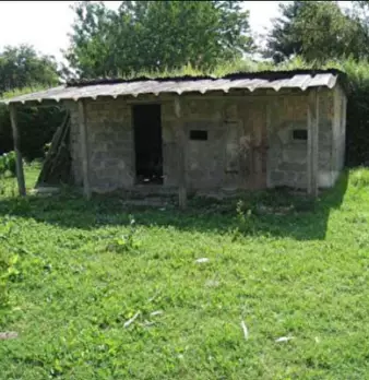 Foto annuncio 9