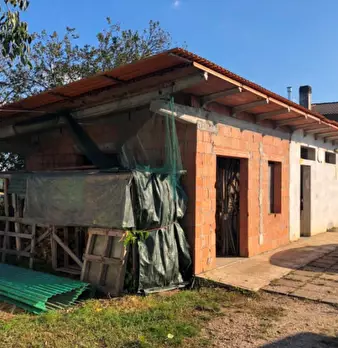 Foto annuncio 4