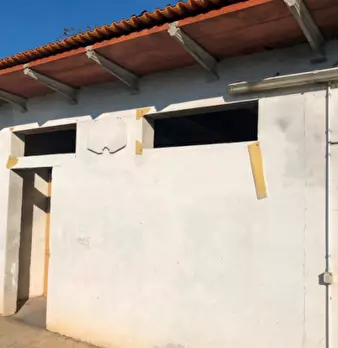 Foto annuncio 5