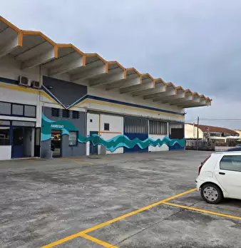 Foto annuncio 11