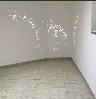 Foto annuncio 12