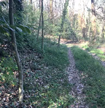 Foto annuncio 4