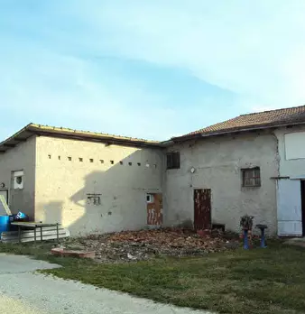 Foto annuncio 6