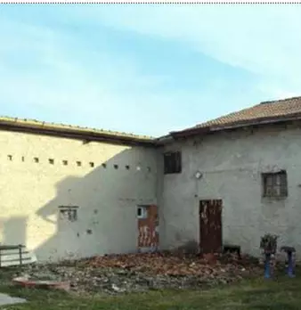Foto annuncio 7