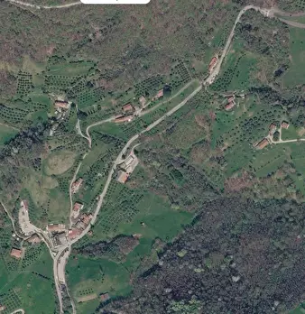Foto annuncio 7