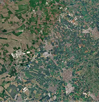 Foto annuncio 9