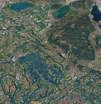 Foto annuncio 11