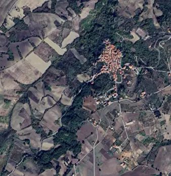 Foto annuncio 11