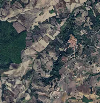 Foto annuncio 12