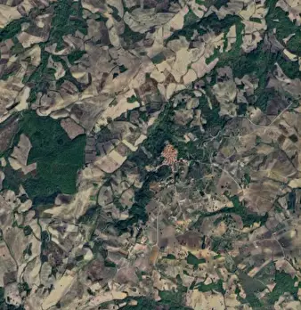 Foto annuncio 13