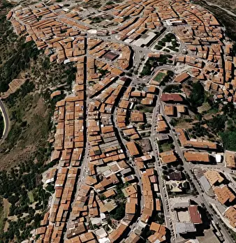 Foto annuncio 6