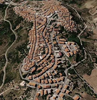 Foto annuncio 7