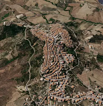 Foto annuncio 8