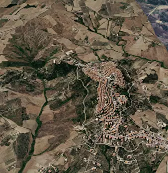 Foto annuncio 9