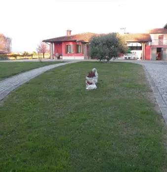 Foto annuncio 4