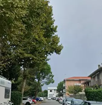 Foto annuncio 6
